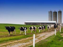 ohio, farm, rural